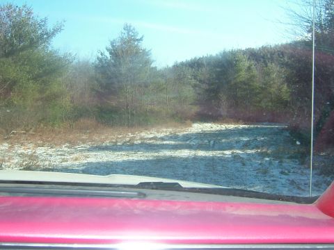 1984 Ford Bronco - View from inside a vehicle looking out at a snowy dirt road in a wooded area.