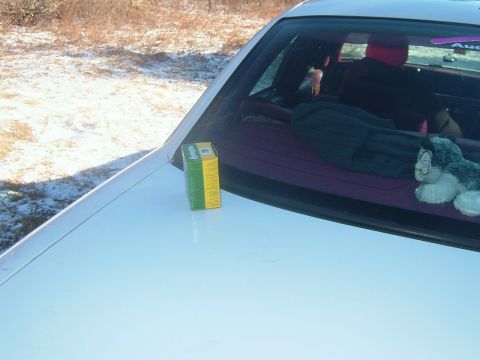1984 Ford Bronco - A box sits on the dashboard of a car, with items visible in the back seat.