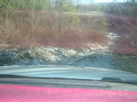 1984 Ford Bronco - View from inside a vehicle shows a wooded area with patches of snow on the ground.