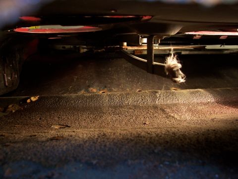 1978 Ford Bronco - A close-up view of the underside of a vehicle, revealing the floor pan and some accumulated debris.