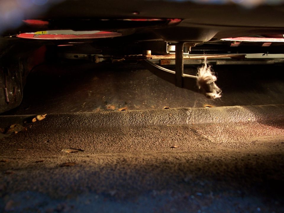 underneath a vehicle showing floor pan and some hanging debris