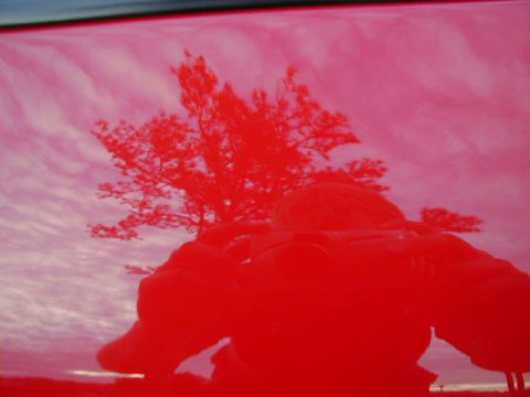 1997 Ford Probe - Reflection of a tree and person on a red car hood, with Supermotors.net logo.