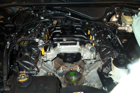 1998 Ford Crown Victoria - Close-up view of the engine compartment in a 1998 Ford Crown Victoria, highlighting the V8 engine components.
