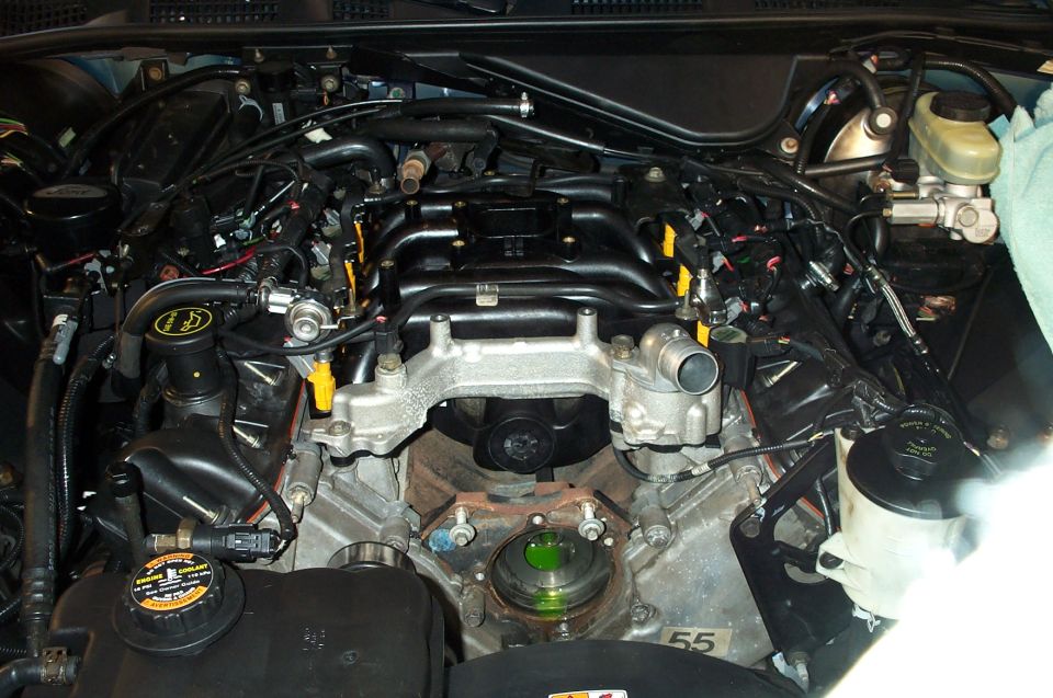 Ford V8 engine bay with intake plenum removed showing lower intake and reservoirs