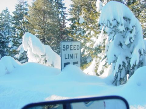 1986 Ford Bronco - A speed limit sign stands amidst a snow-covered landscape with snow-laden trees.
