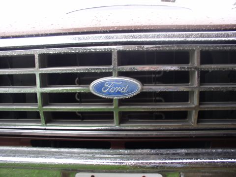1983 Ford Bronco photo
