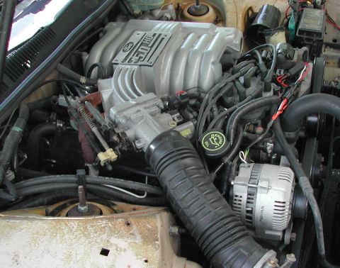 1993 Ford Thunderbird - Close-up view of a Ford 5.0 HO engine, showing the intake manifold, alternator, and various hoses.