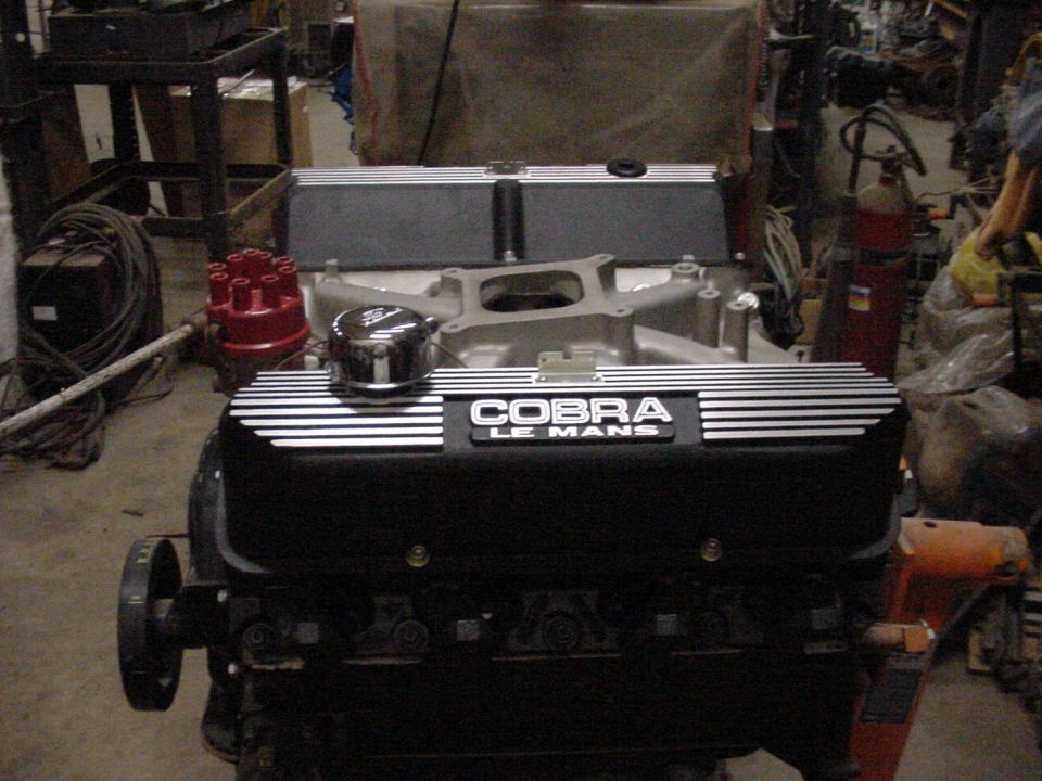 Engine with black Cobra Le Mans valve covers and a red distributor cap