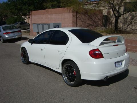 1996 Ford Probe - A white Dodge sedan is parked on a street, showing its rear spoiler and custom wheels.
