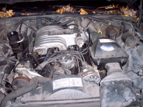 1986 Ford Custom Wagon photo