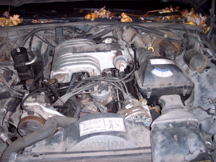 Dusty fuel-injected V8 engine bay with aluminum intake manifold and leaves on the cowl
