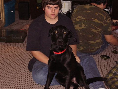1996 Ford F-150 - Male Black Lab: Shadow