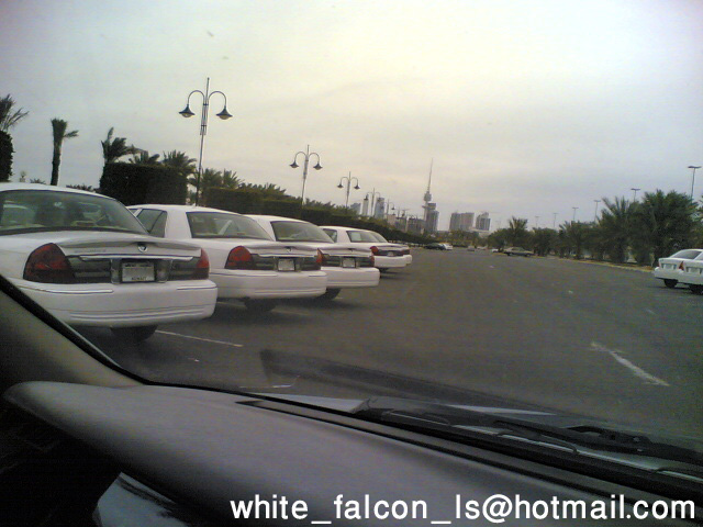 Row of white Mercury Grand Marquis sedans parked in a lot, seen through a windshield