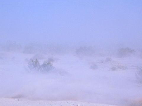 1990 Ford Bronco - dust-shrouded desert landscape with scattered low brush fading into a pale blue haze.