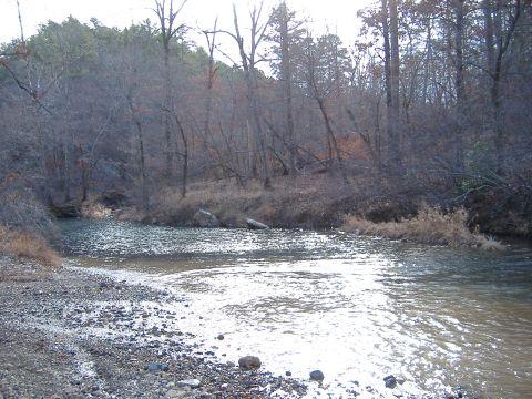 1999 Honda RANCHER