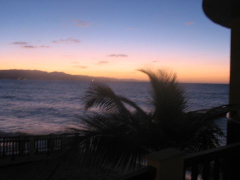 1991 Ford Bronco - A tranquil ocean sunset with a silhouetted palm tree in the foreground and mountains on the horizon.