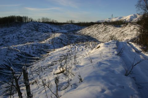 2003 Jeep TJ - A vast landscape covered in snow, with numerous trees felled across the hillsides under a clear sky.