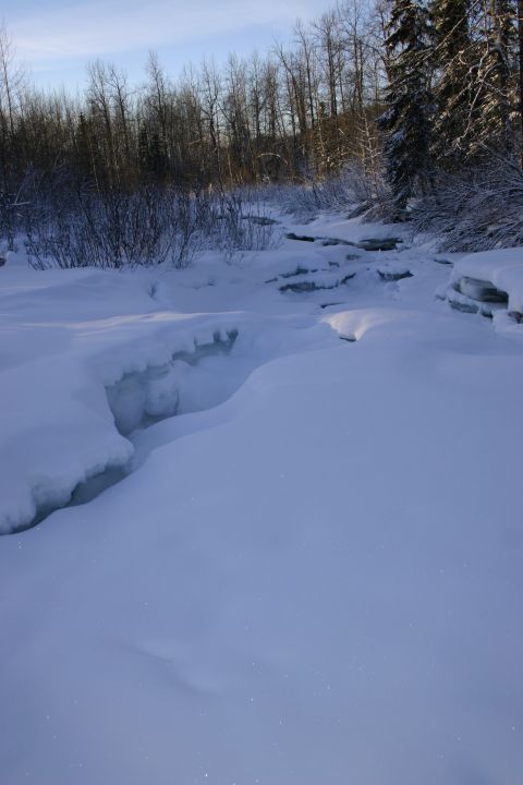 2003 Jeep TJ - Winter scene with snow-covered ground and trees, a frozen stream.