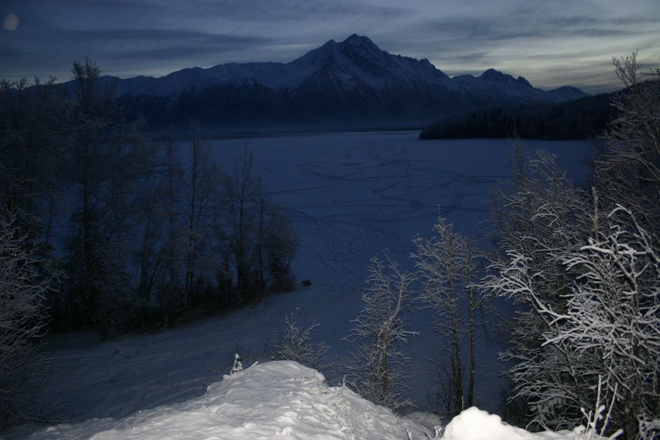 Snowy landscape with snow-covered trees in the foreground and a large mountain range behind a frozen lake