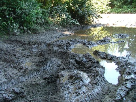 1988 Ford Bronco - Tire tracks mark a path through a muddy, waterlogged area surrounded by dense vegetation.