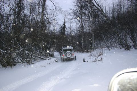 2003 Jeep TJ - A silver Jeep Wrangler navigates a snow-covered path surrounded by bare trees.