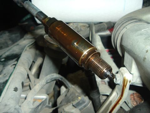1993 Ford Taurus - A spark plug heavily coated in oil suggests an engine issue, not a specific model year.