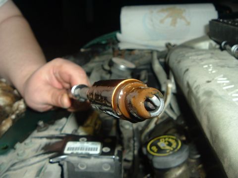 1993 Ford Taurus - Oily spark plug removed from engine, indicating potential oil leak or burning issue.