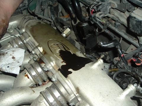 1993 Ford Taurus - A close-up view of an engine component bearing the Ford logo, showing signs of oil leakage.
