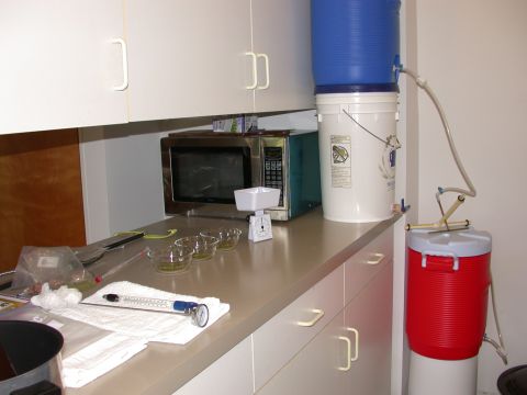 1995 Ford Bronco - Brewing setup on a kitchen counter includes a microwave, water filter, and temperature monitoring tools.