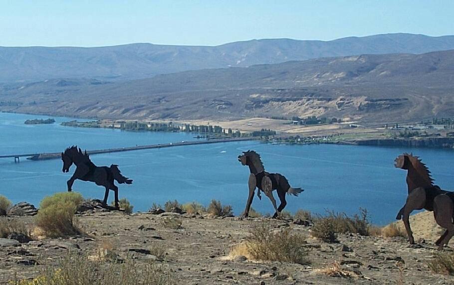 A few of the ponies close to Vantage WA