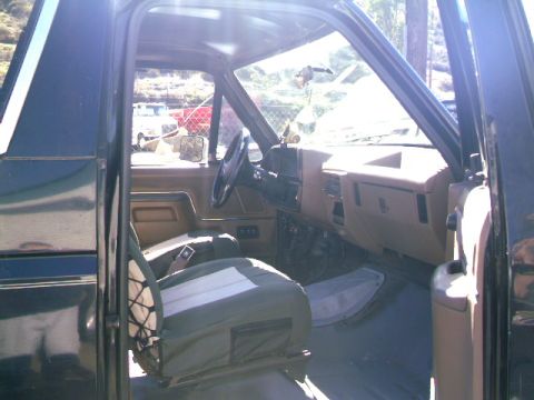 1989 Ford Bronco - Pre cage pics