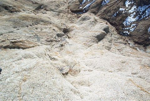 1986 Ford Bronco - This is the top of what they call Dead man's wall. There was alot of buggies that made it look easy.