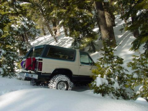 1986 Ford Bronco - A 1986 Ford Bronco navigates a snowy forest trail, equipped with auxiliary fuel cans.