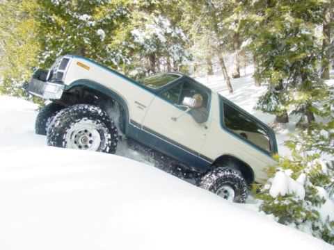 1986 Ford Bronco - Ford Bronco navigating a snowy, wooded trail.