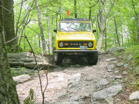 1972 Ford Bronco - A yellow 1972 Ford Bronco navigates a challenging off-road path through a forest.