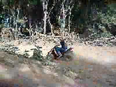 2004 Yamaha WARRIOR - playing around