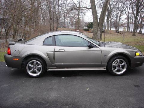1998 Ford Taurus - This 2001 Ford Mustang GT coupe is shown from the side, parked outdoors near trees and water.