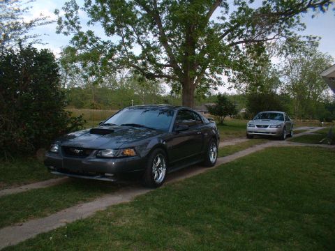 1999 Ford Mustang - Two Ford Mustangs are parked in a driveway on a cloudy day, with trees and a house visible.