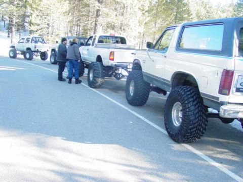 1986 Ford Bronco - Several lifted trucks, including a 1986 Ford Bronco, are parked on a paved road in a wooded area.