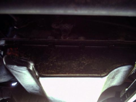 1984 Ford Bronco - The oil pan of a vehicle is visible from below, showing signs of use and grime.