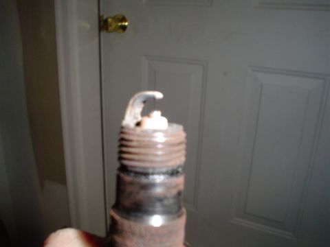 1981 Ford Bronco - 42PG plugs, sticker says 42PP (double platinum dont know if they are original. and its the only one ive checked.