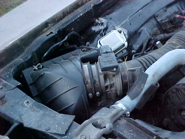 Engine bay with air filter box, mass air flow sensor, and intake tubing