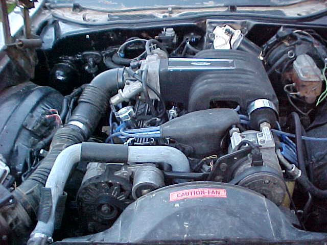 Ford V8 engine bay with blue plug wires and CAUTION-FAN sticker