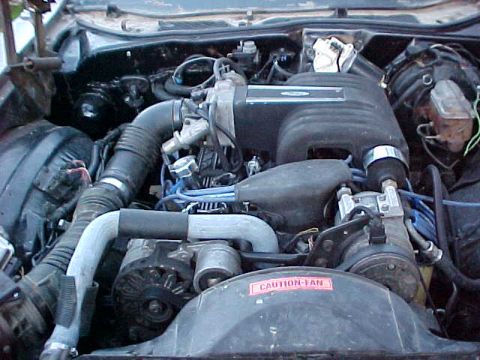 1973 Ford Ranchero - Engine bay view of a V8 fuel-injected motor with a black intake manifold bearing a Ford oval, blue spark plug wires, a chrome-topped compon…