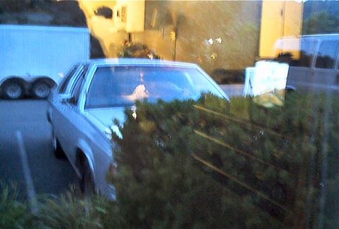 1985 Ford LTD Crown Victoria - A silver sedan is parked in a lot, partially obscured by foliage.
