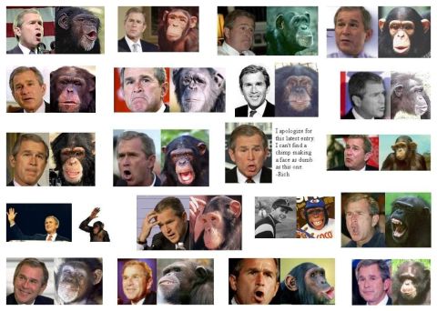 1993 Ford Bronco - This image is a collage comparing George W. Bush's facial expressions to those of chimpanzees.