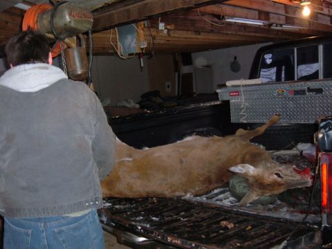 1985 Ford F-150 - A deer is being loaded into the bed of a pickup truck, likely after a hunt.