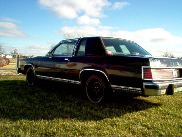 Dark sedan parked on grass, rear quarter view. Chrome trim along the bottom