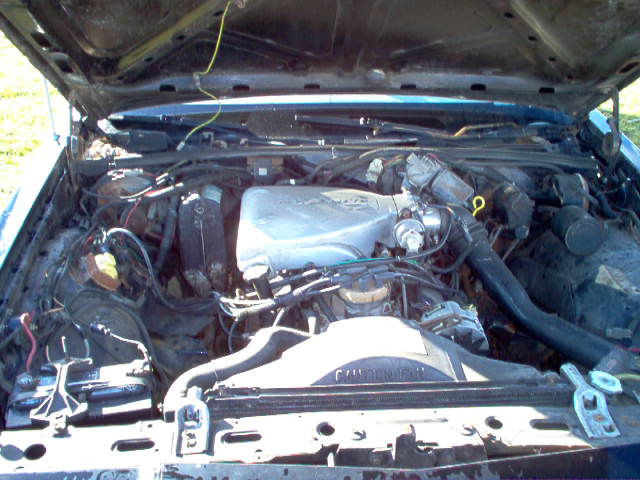 1985 Ford Crown Victoria LTD engine bay with V8 engine, battery, and radiator visible