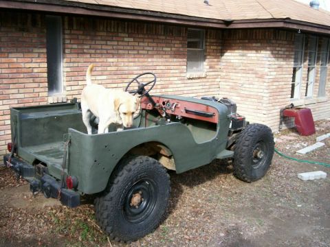 1993 Ford Bronco - Passenger-rear-CJ2A-angle-shot with my dog in the back